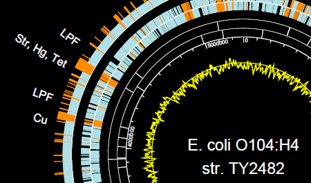 genvision-small GenVision